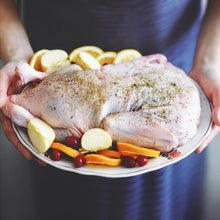 Load image into Gallery viewer, Duckling