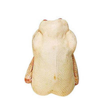 Load image into Gallery viewer, Duckling