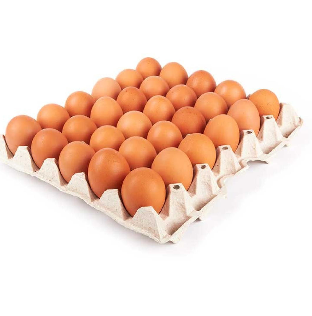 Tray of 30 Eggs - Medium