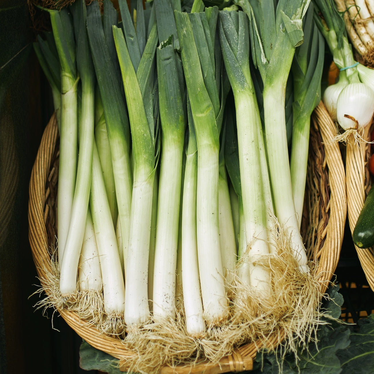 Fresh Local Leeks - 1kg – Armstrong Country Foods