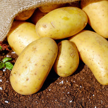 Load image into Gallery viewer, Mother’s Day Roast Special – Only £19.99!
