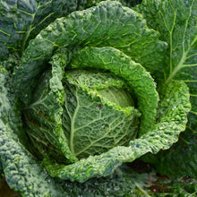 Load image into Gallery viewer, Veg Box - £10
