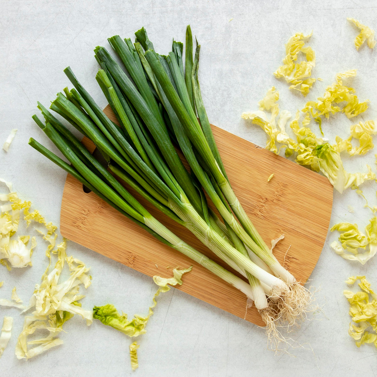Fresh Scallions – Armstrong Country Foods