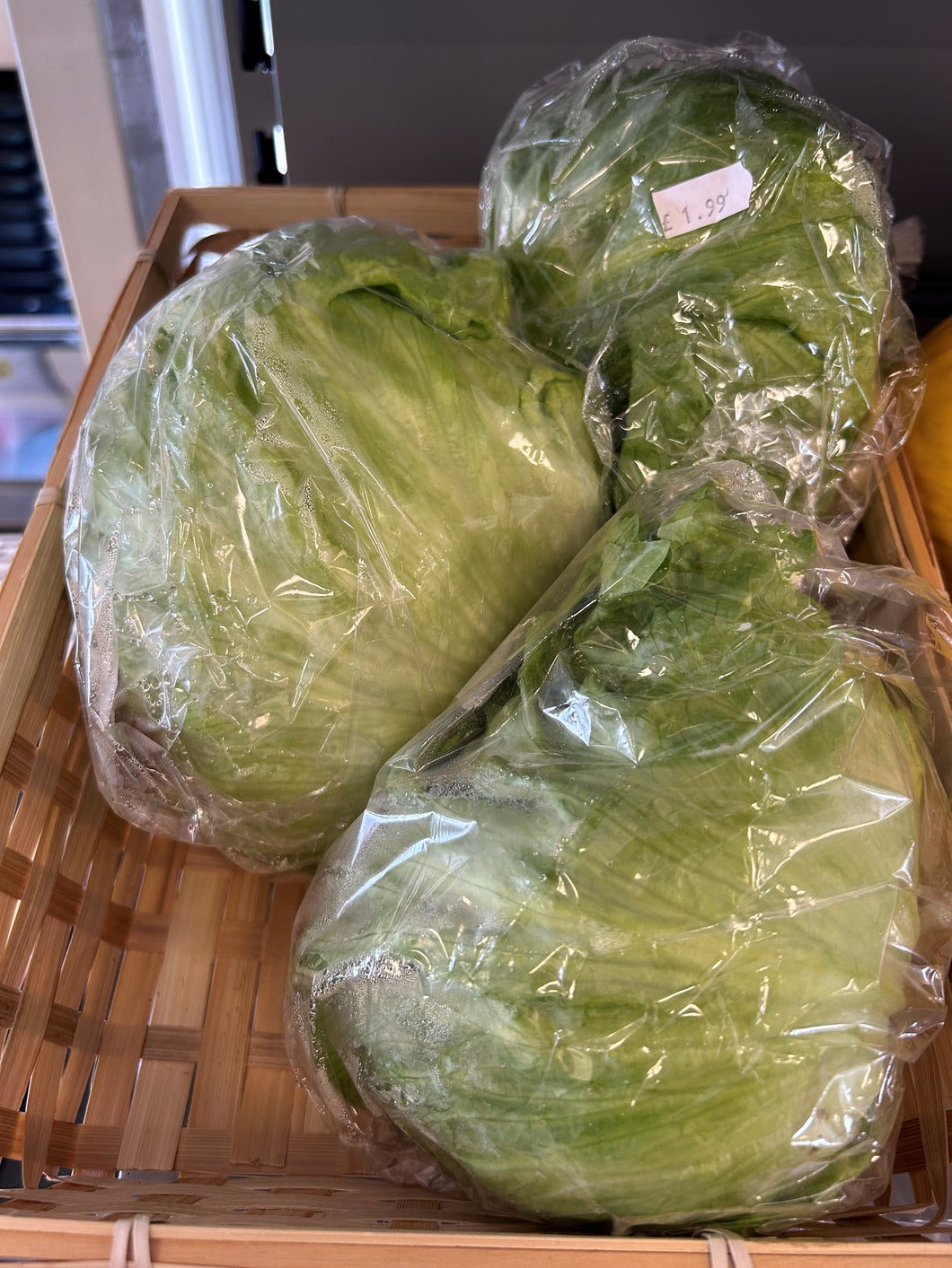 Fresh Iceberg Lettuce