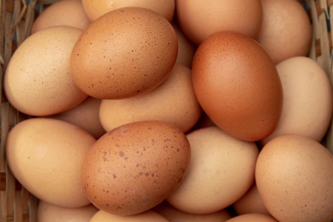 Tray of 30 Eggs - Medium