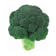 Load image into Gallery viewer, Broccoli
