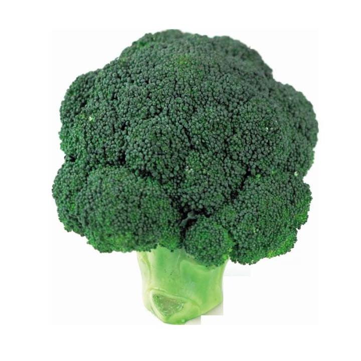 Broccoli