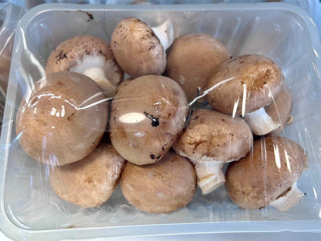 Chestnut Mushrooms