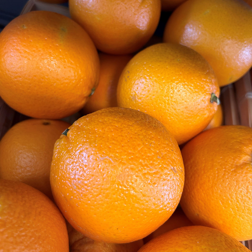 Small Loose Oranges