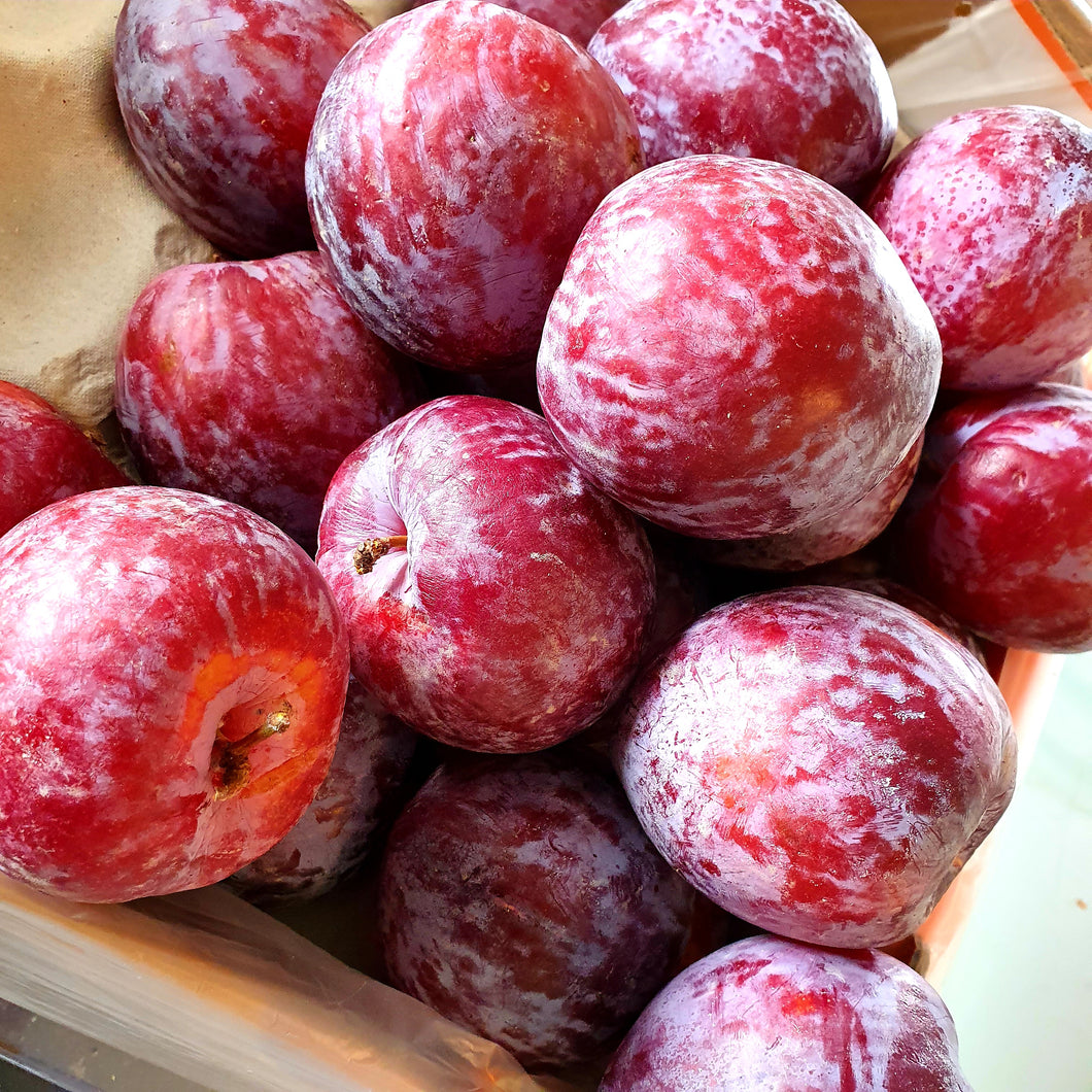 Fresh Plums - 4 pack