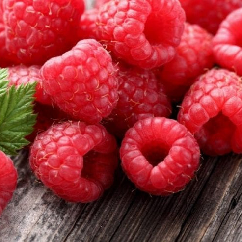 Fresh Raspberries