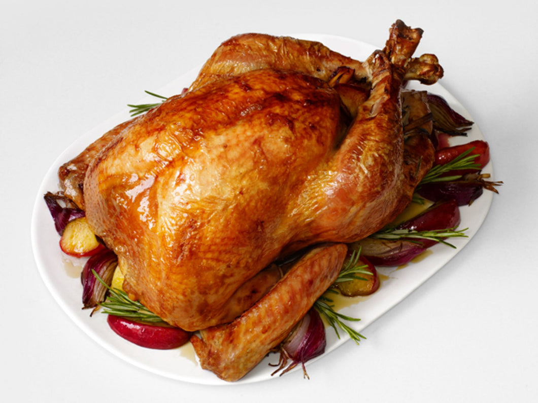 Traditional White Turkey
